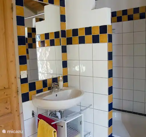 De badkamer met douche, toilet en wasbak.